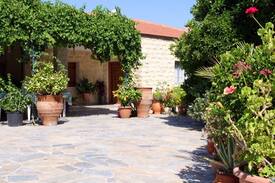 Goudi Other | Orange Grove Stone House Goudi Polis Chrysochous