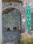 Positano Bed & Breakfast | Nino's B & B
