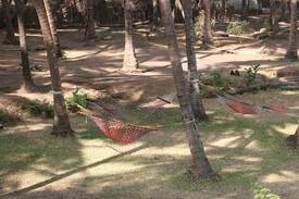 Palghar Other | Coconut Jungle Camping, Laxmi Garden, Shirgaon