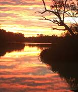 Rufus Other | WOMPINNI STATION. OUTBACK CABINS BY MURRAY RIVER.