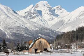 East Kootenay House | Cokato Farms Room #1
