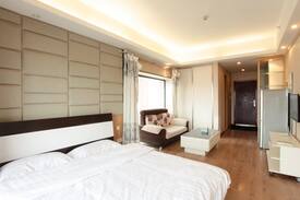 Da Dong Apartment | 中街，大悦城优雅一居室