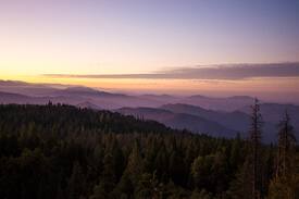 Shaver Lake House | The Canopy Sierras - Mountain Top Tiny House