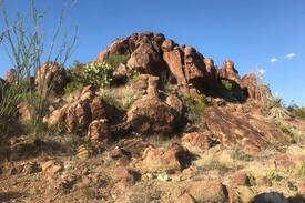 Terlingua House | AREA 118- The Gemini