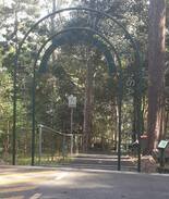 Buderim House | The Treehouse on Buderim..Dog Friendly.