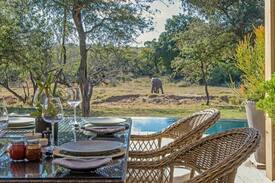 Thorny Bush Game Reserve Cabin | River Lodge Suite - The River Lodge at Thornybush