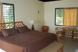 Negril House | Native Son Villa on Negril's 7 mile beach