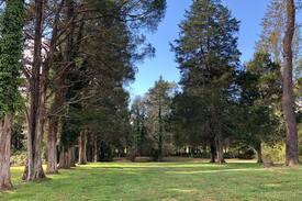 Cobham House | Cismont Lodge