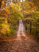 Girard Other | Hidden Ridge at Otter Lake