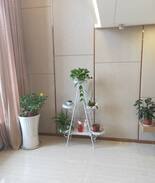 Wujiagang Qu Apartment | 芳芳的小资房