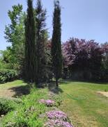 Reguengos de Monsaraz House | Monte das oliveiras