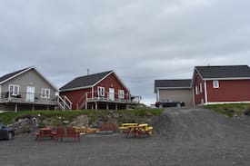 Twillingate Cabin | An Atlantic Ocean Retreat - Waterside Cottage #1
