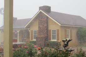Elgin House | The Lucky "S" Bunkhouse