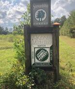 Havana Other | Longleaf Farm