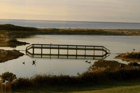 Scamander House | Swan Cottage On The Waterfront