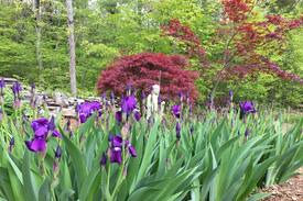 Saugerties House | The Zen den