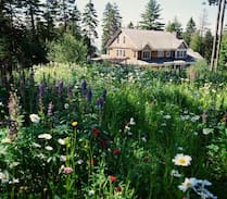 Harpswell House | Dingley Island Retreat