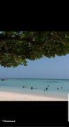 Lambeau Cabin | SEAVIEW LODGE, TOBAGO