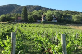 Paonia House | La Mesa Lodge~spectacular mountain views, vineyard