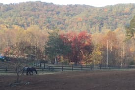 Free Union House | Beckets Run Cottage, Free Union, VA