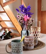 La Wantzenau House | Studio cosy à louer / Strasbourg-La Wantzenau