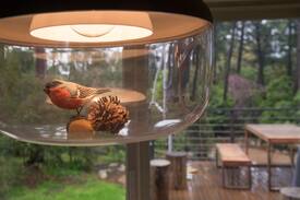 Flinders House | Flinders Treehouse - Stunning Beach Holiday House