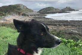 Mumbles House | Beachcombers Chalet (No extra costs) Dogs Welcome