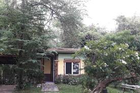Lom Sak Cabin | บ้านพักจ่ามังกร หริอ ดรากอน โฮมสเตย์