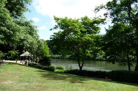 Waikato District House | The Boatshed Cottage B & B, River Rd,Hamilton