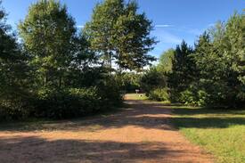Big Bay Cabin | Big Bay Lodge