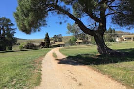 Adaminaby Other | The Old Police Station