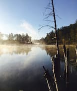 Long Lost Lake Cabin | Cox Lake near Itasca State Park - Rustic Cabin