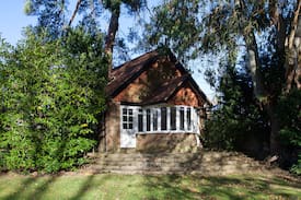 Godstone House | Squirrels