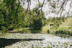 Eumundi Other | The Eumundi Dairy - The Homestead