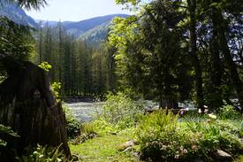 Sardis Cabin | Chilliwack (Vedder) river cabin.