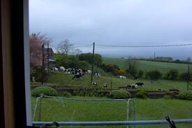 Drumbo Apartment | Hilltop Drumbo 8.5 miles from Belfast City Hall