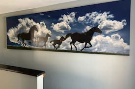 Ballston Spa Other | The Canter Inn