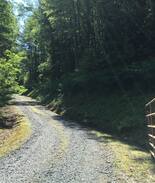 Sugar Grove Cabin | Rustic Log Cabin near Boone to enjoy the mountains