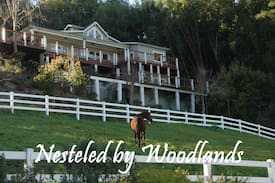 Soquel Other | Willow Pond Ranch