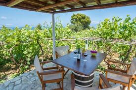 Antipaxos House | Thomas Vineyard Antipaxos