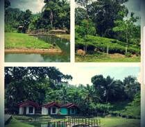 Weddagala Cabin | Rainforest Cabana House, Sinharaja, Kalawana
