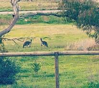 Normanville House | Bungala Beach House