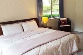 Brookby Other | Auckland Farmstay (Whitford)