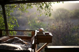 Mbombela Other | The Fig Tree House just outside Nelspruit