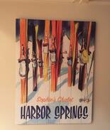 Harbor Springs Villa | Harbor Springs Sophie's Ski Chalet