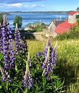 Eastport Cabin | Sea Smoke Cottage - Eastport, Maine