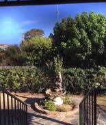 Stawell House | 'Papillon' - Stawell/Grampians pet friendly base