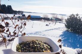 Lloydminster House | Milk and Honey Acres - A Family Country Haven