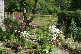 Rhydlewis House | Bronant Cottage