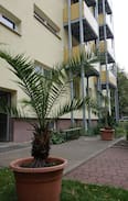 Cottbus Apartment | Wohnung im "Palmental"